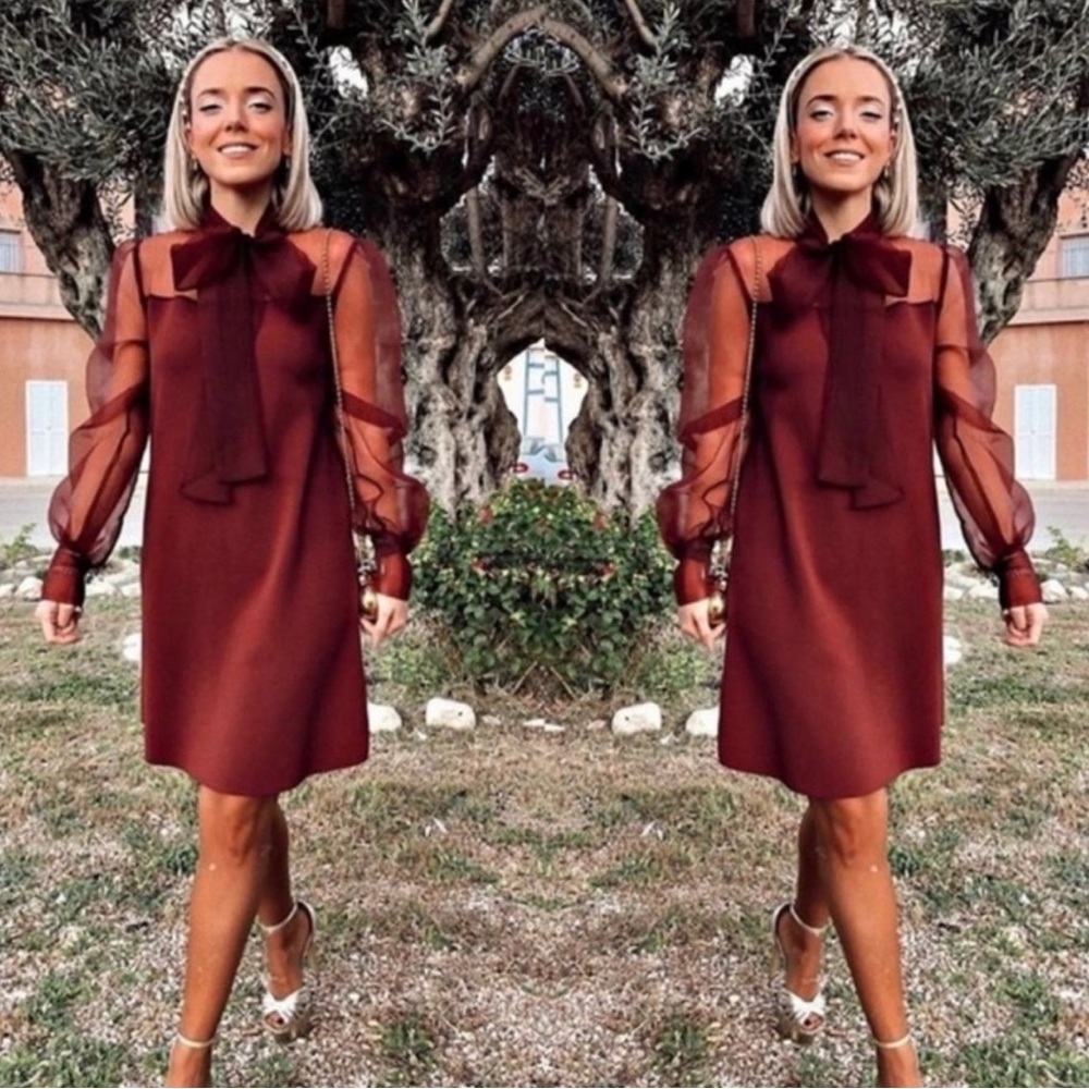 Zara Burgundy Mini Organza sleeves Dress